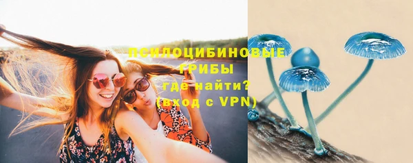 СК Тихорецк